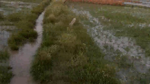 .पहले बारी-बारी से परेशान किसान अब बाढ़ आ रहा है बाढ़ से किसान की फसलों को भी बर्बाद