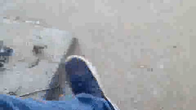 ट्रैफिक वार्डन और पुलिस प्रशासन के द्वारा कंट्रोल किया जा रहा है माध्यमिक जुलूस ट्रैफिक को