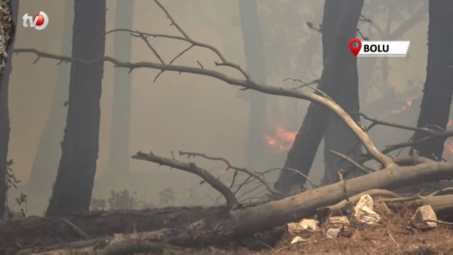 Bolu’daki Orman Yangınına Müdahale Devam Ediyor