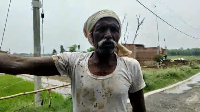 बलरामपुर: छुट्टा गौवंशों से किसान परेशान सुनें किसान की पीड़ा।