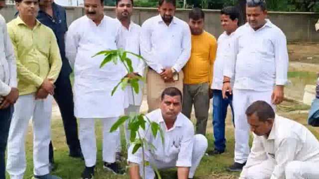 बुढ़ऊ के उच्च प्राथमिक विद्यालय परिसर में पूर्व बेसिक शिक्षा मंत्री सतीश द्विवेदी ने किया वृक्षारोपण ।