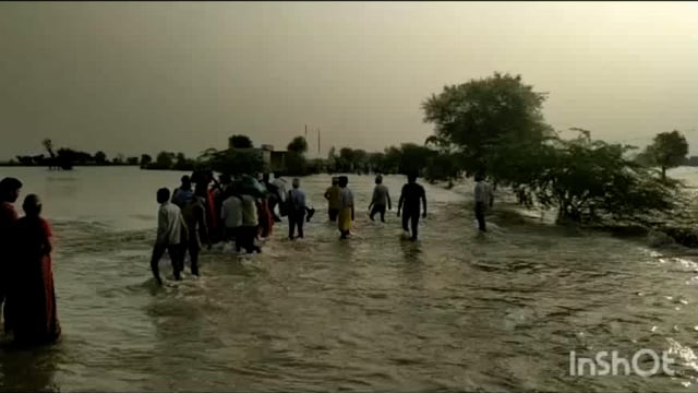 शेरगढ़ नदी के बहाव में से गोताखोर निकाल रहे हैं परिक्रमार्थियों को निशुल्क सेवा भाव से