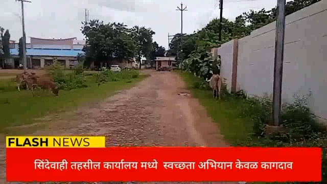 सिंदेवाही तहसील कार्यालयात परिसरात अस्वच्छता संबंधित प्रशासन निद्रेत. 