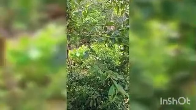 तालाब की जमीन पर दबंगों ने किया कब्जा ग्रामीणों ने जिलाधिकारी से शिकायत कर तालाब को खाली कराने की उठाई मांग