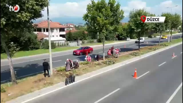 Düzce Yollarında Rengarenk Manzara