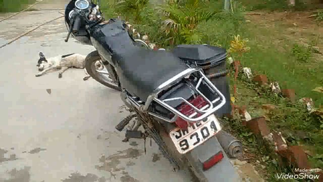 पुलिस ने ईगुनाटाटाड़ व सिरदला से विभिन्न मामले में दो लोगों को गिरफ्तार कर भेजा न्यायालय