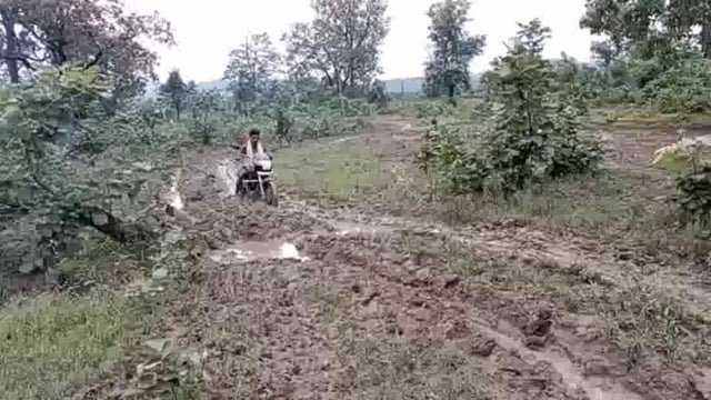 अहेरी तालुक्यातील या रस्त्याची दैनावस्था