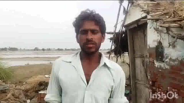 यमुना नदी में आई बाढ़ से हुआ फसलों में भारी नुकसान किसान परेशान नहीं मिल रहा है मुआवजा