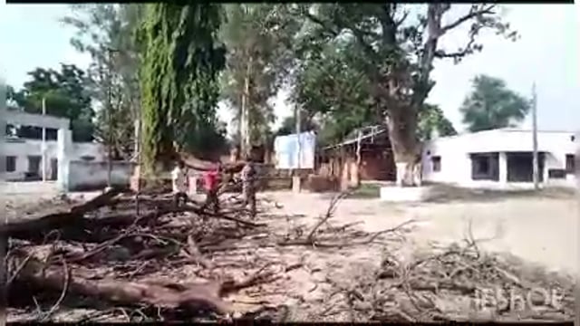 विकासखंड परिसर में लगे बेस कीमती वृक्षों को बिना टेंडर प्रक्रिया कराए  व उच्च अधिकारियों को सूचित किए बिना काटा जा रहा 