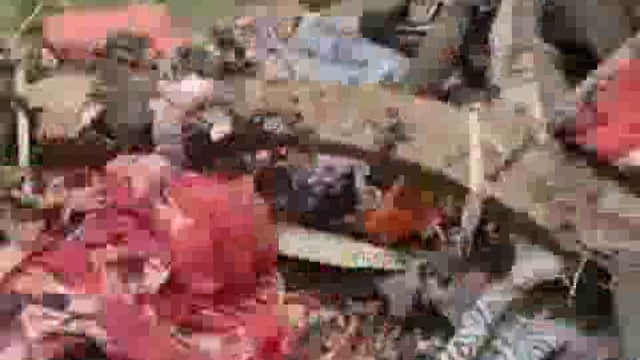 शार्ट शर्किट से घर में लगी आग, गृहस्थी का समान जलकर हुआ खाक