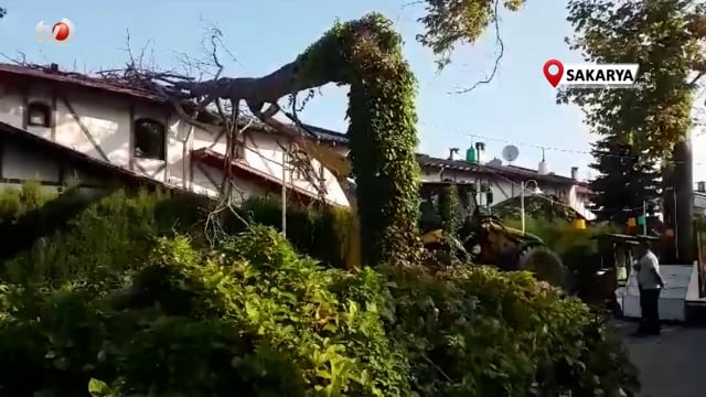 Asırlık Çınar Ağacı Villanın Üzerine Devrildi, Ev Sahibi Deprem Oluyor Sandı
