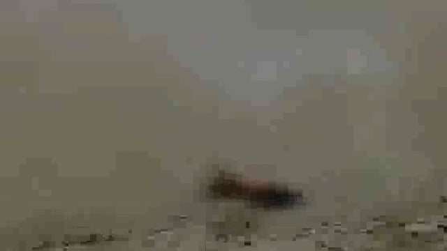 बभनी में बूढ़ी राप्ती में उतराता मिला युवक का शव