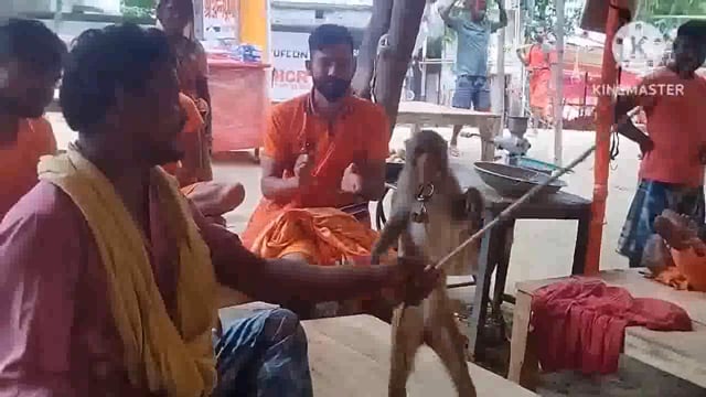 मलमल के कारण कांवरियों की भीड़ हुई कम, रंग बिरंगी कांवर ले चले कांवरिया बाबाधाम