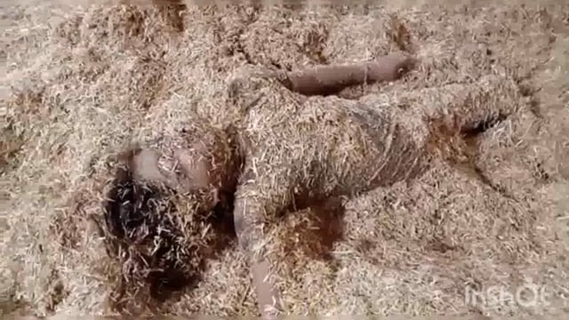 शिवाला चौकी क्षेत्र में किशोरी के साथ दरिंदगी के उपरांत हुई हत्या के मामले में पुलिस ने किया खुलासा