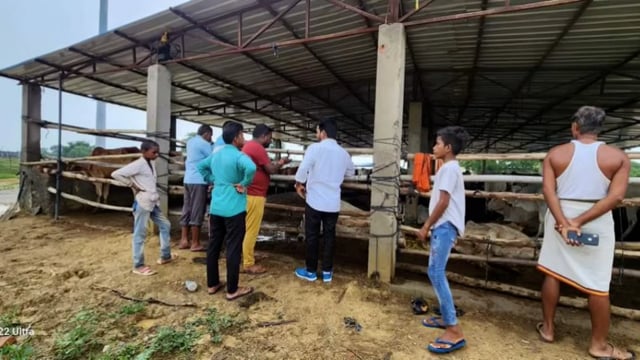 सिकोथा गौशाला का अध्यक्ष अजय गुप्ता ने किया निरीक्षण कमिया मिलने पर जमकर लगाई फटकार