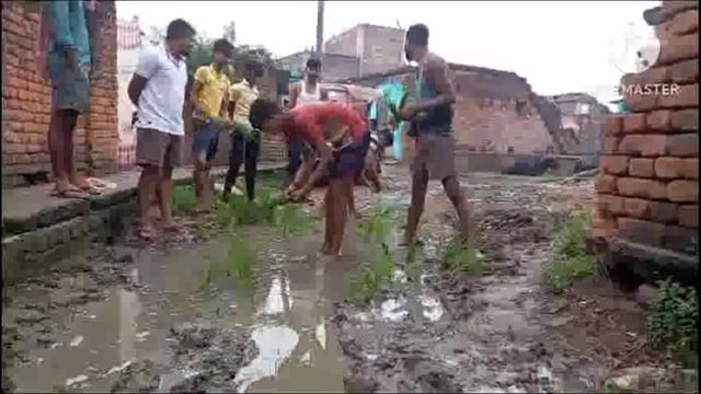 सड़क है या धान का खेत, ग्रामीण धान रोपाई कर दिखाते सड़क 