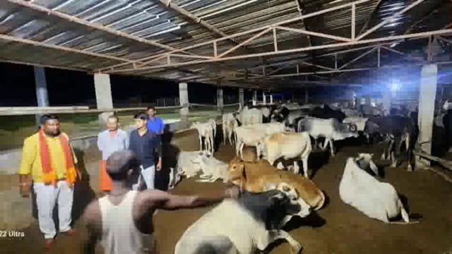 देर रात सिकौथा में किसानों की समस्या को देखते हुए आस्थाई गौशाले का अध्यक्ष अजय गुप्ता ने निरीक्षण किया