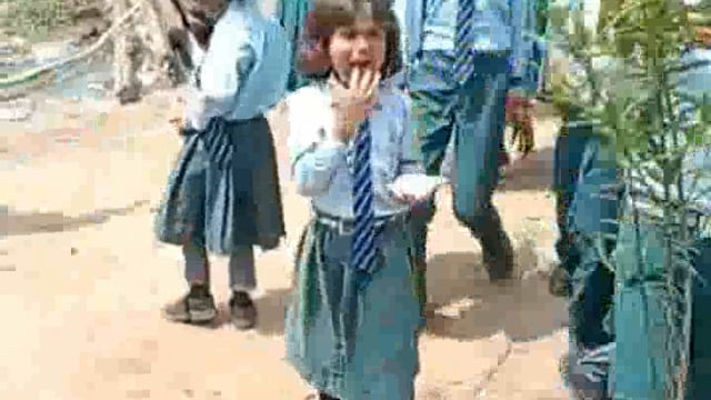 पर्यावरण संरक्षण को लेकर मेही इंग्लिश स्कूल बरदहा में 1000 पौधे का किया गया वितरण