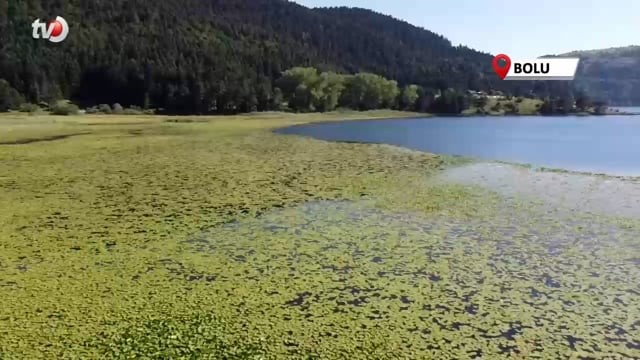 Bolu Son 94 Yılın En Sıcak Gününü Yaşadı