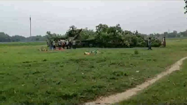 विशालकाय महुआ का हरा पेड़ धराशायी,वन विभाग की आँख बंद
प्रतिबंधित हरा पेड़ काटने पर ६ माह से तीन साल की सजा
थाना बाघराय