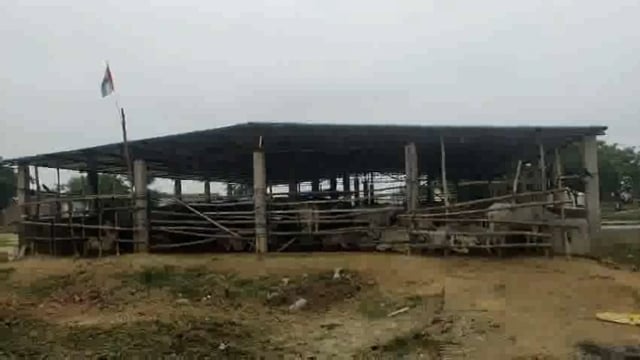 तहसील क्षेत्र में लंपी वायरस का कहर अब तक दर्जन भर मवेशियों की जा चुकी जान हजारों इसकी चपेट में