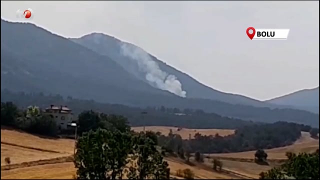 Bolu'da Orman Yangını Başladı