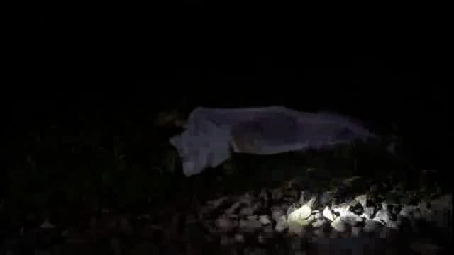 मलकापूर शिवारात रेल्वेच्या धक्क्याने एकाचा मृत्यू,कानातील हेडफोनमुळे गेला जीव