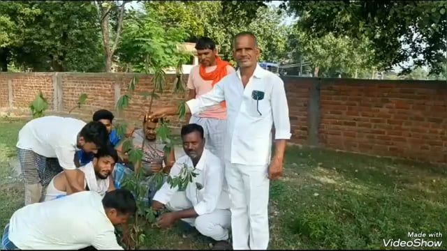 सिरदला प्रखंड के छोनु बीघा गांव में मनरेगा के तहत किया गया पौधारोपण का शुभारंभ