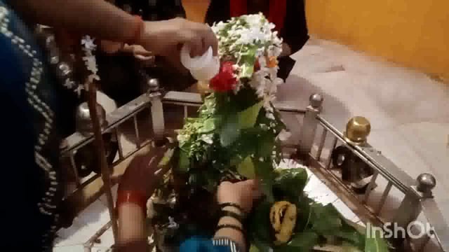 सूरापुर में पंचमुखश्वैर महादेव मंदिर में नाग पंचमी के पर्व पर उमड़ी भक्तों की भीड़