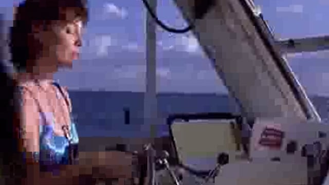 सुलतानपुर: जानवरों के बीच ऐसी समझ वीडियो देख ताजुब में पड़ेंगे आप 