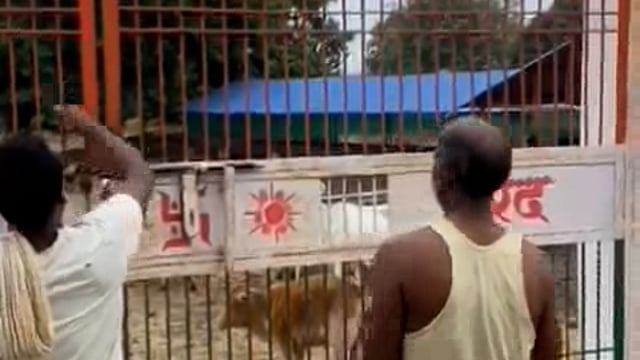 गौशाला मे गौवंशों की दयनीय दशा की शिकायत पर शिकायतकर्ता पर दर्ज कराया झूठा केस, मुख्यमंत्री समेत एसपी से लगाई गुहार
ब्लाक संडवा चंद्रिका वारेंद्र ग्राम