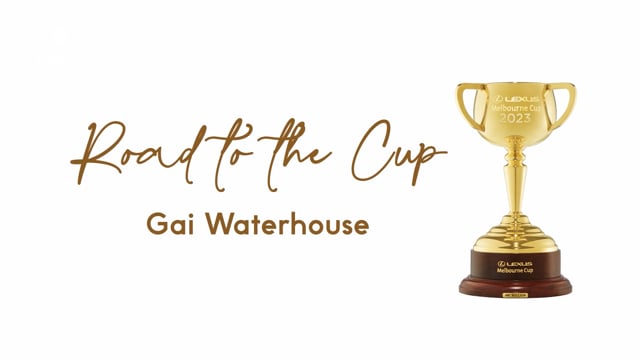 Gai Waterhouse - Road to the Cup