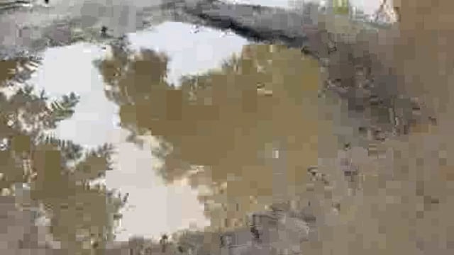 सुलतानपुर: जनप्रतिनिधियों की नाकामयाबी का प्रमाण करौंदी कला रवनिया मार्ग