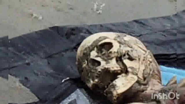 थाना बलदेव क्षेत्र के गांव नेरे के समीप यमुना में मिला महिला का शव हाथ पर आरती नाम गुदा हुआ मिला नहीं हो सकी पहचान