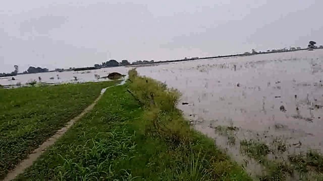 मेरे गांव में बाढ़ का पानी बड़ा हुआ है मेरे खेतों में