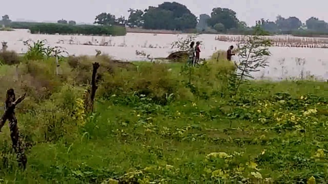 बाढ़ के पानी में मछुआरे मछली पकड़ते हुए