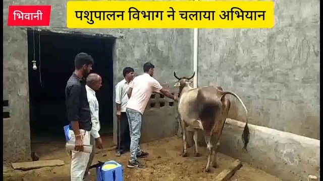 जल बचाओ नशे से रहो दूर की महिम लेकर सुनो नेहरू की पुकार मिशन पहुंच मॉडल स्कूल प्रांगण