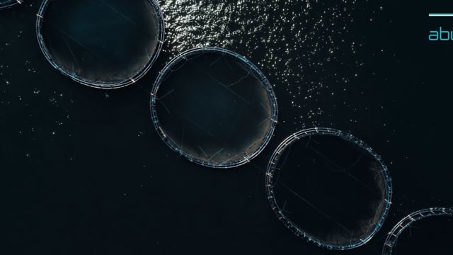 Abyss – Brandfilm