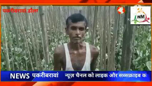 नवादा (बिहार)पकरीबरावां के डोला गांव में बदमाशों ने पान के ब्रेजा में घास पतवार कीटनाशक डाला किया नुकसान