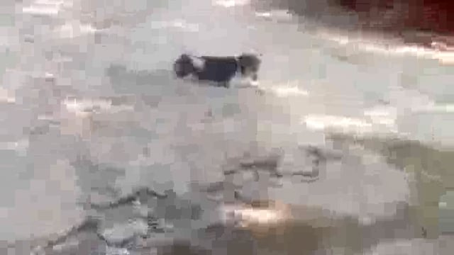 पटरी मरम्मत के बजाय प्रधान, तकनीकी सहायक, नोडल अधिकारी, एपीओ के आर्थिक स्थिति की हो रही मरम्मत
ब्लाक रामपुर संग्रामगढ़ ग्राम रामपुर दाबी