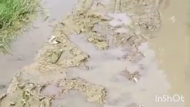 देश के आजादी से लेकर अब तक नारेमहरीपुर के ग्रामीण कीचड़ बड़े रास्तों से आने-जाने के लिए मजबूर, डीएम का आदेश भी बेअसर