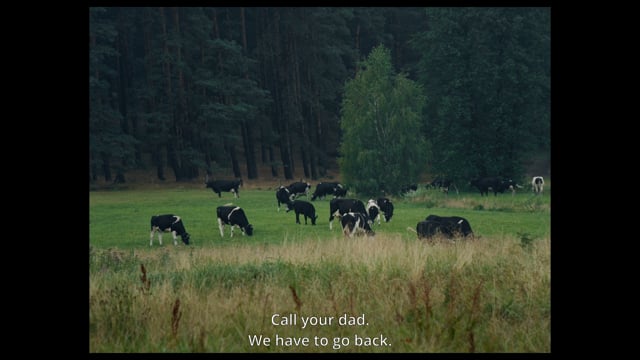 Free Cow_trailer_dir. Marek Głuszczak