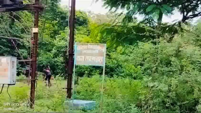 आलापल्ली शहरातील रस्त्याची दैनावस्था; खड्ड्यात रस्ते की रस्त्यावर खड्डे बघाच... कशी ही दुरवस्था...