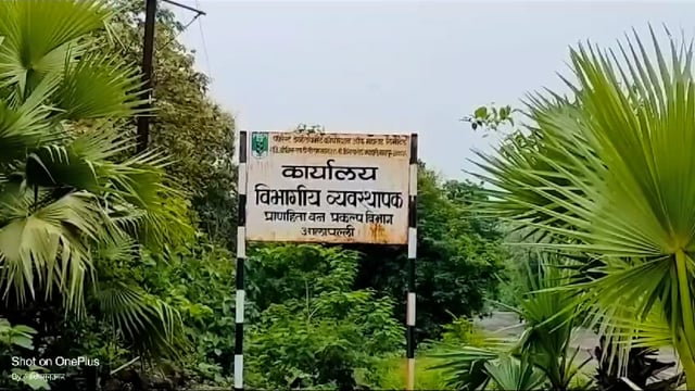 आलापल्ली शहरातील रस्त्याची दैनावस्था; खड्ड्यात रस्ते की रस्त्यावर खड्डे बघाच... कशी ही दुरवस्था...