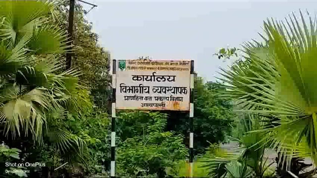 आलापल्ली शहरातील रस्त्याची दैनावस्था; खड्ड्यात रस्ते की रस्त्यावर खड्डे बघाच... कशी ही दुरवस्था...