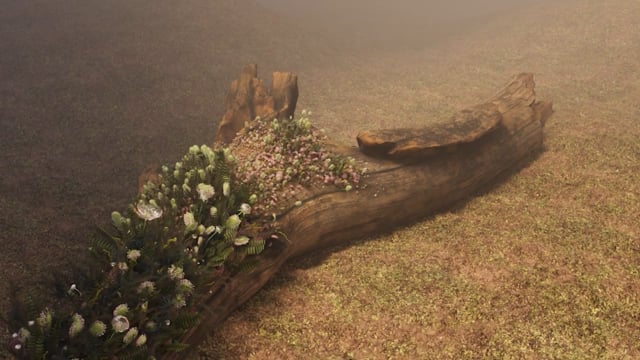 Spring 23 Quarter — Fowler