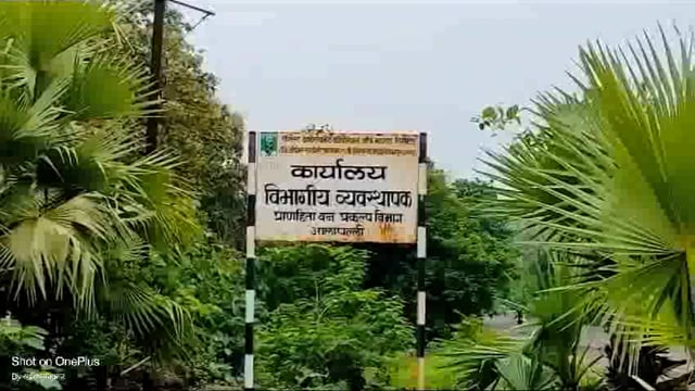 आलापल्ली शहरातील रस्त्याची दैनावस्था; खड्ड्यात रस्ते की रस्त्यावर खड्डे बघाच... कशी ही दुरवस्था...