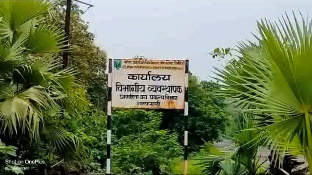 आलापल्ली शहरातील रस्त्याची दैनावस्था; खड्ड्यात रस्ते की रस्त्यावर खड्डे बघाच... कशी ही दुरवस्था...