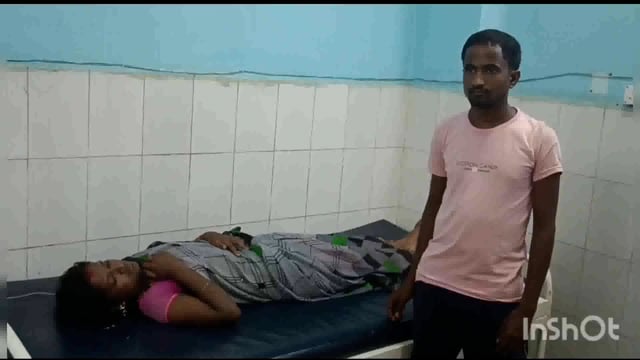 लखीसराय जिले के हलसी थाना क्षेत्र के सांढ़माफ गांव में धान की निकोनी करने के दौरान महिला को सांप ने डंसा 