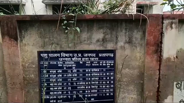 पशु चिकित्सालय बिहार पर झूल रहा ताला,पशुपालक ताला देख हैरान
पशु चिकित्सक के पास दो जगह का चार्ज- डॉ बिरजू यादव,सीवीओ